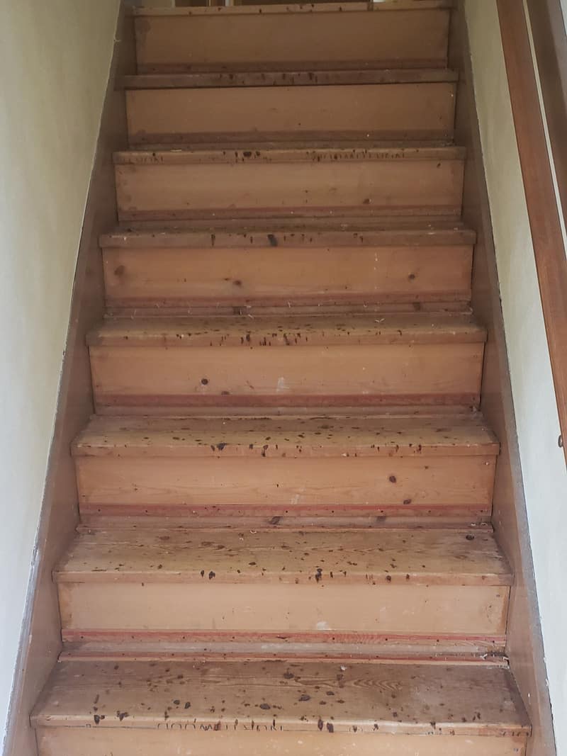Stairs Painting - Before